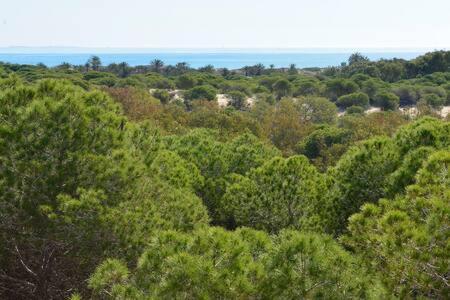 Casa Felipa, Una Estancia Única En La Costa Blanca Guardamar del Segura Exterior foto